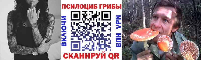 где продают наркотики Любим Галлюциногенные грибы Psilocybine cubensis